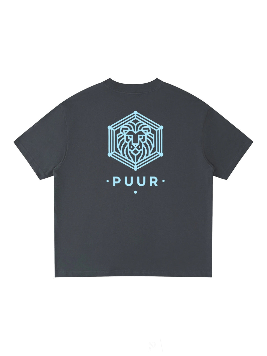 PUUR T-SHIRT STONE BLUE